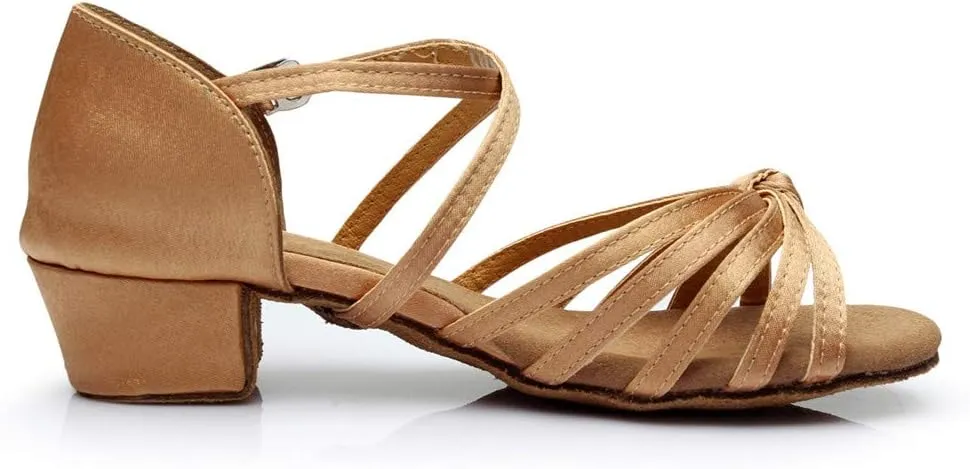 Chunky Heels Sandals Women Summer Dress Shoes Latin Dance Shoes Satin Ballroom Tango Performance Practice Dance Shoes