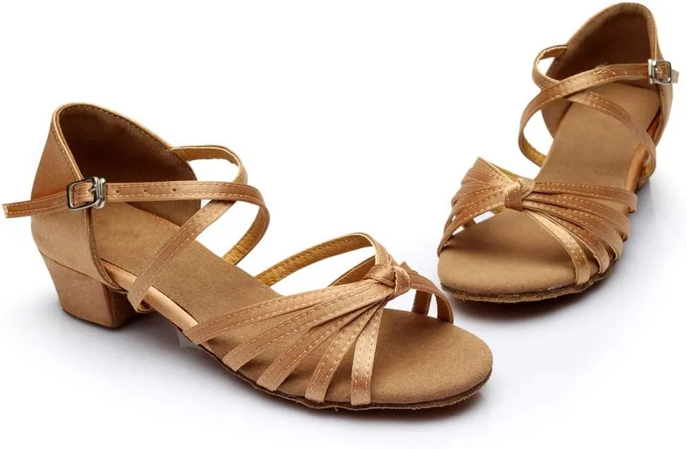 Chunky Heels Sandals Women Summer Dress Shoes Latin Dance Shoes Satin Ballroom Tango Performance Practice Dance Shoes