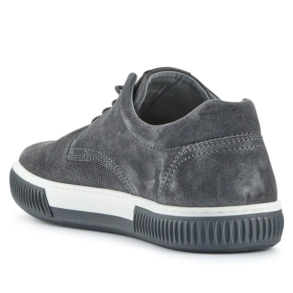 Seaford Suede Trainers - SEAFORD / 325 136